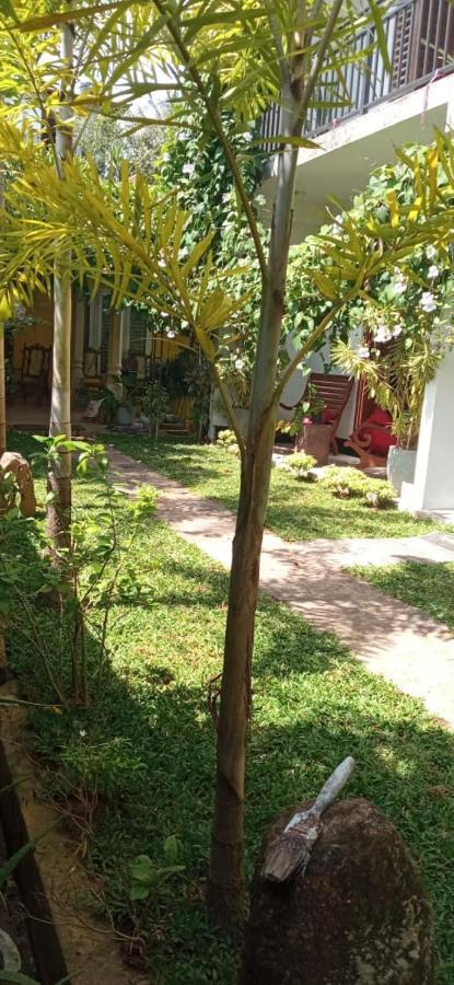 Bed and Breakfast Mandara Rest Hikkaduwa Exterior foto