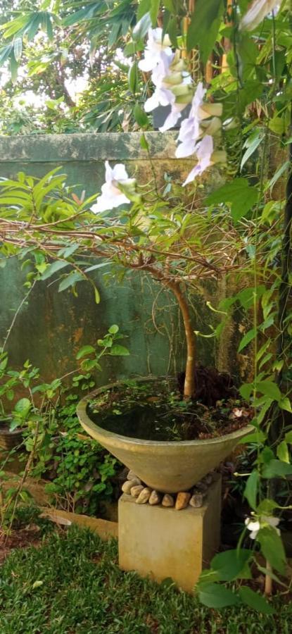 Bed and Breakfast Mandara Rest Hikkaduwa Exterior foto