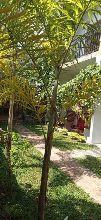Bed and Breakfast Mandara Rest Hikkaduwa Exterior foto