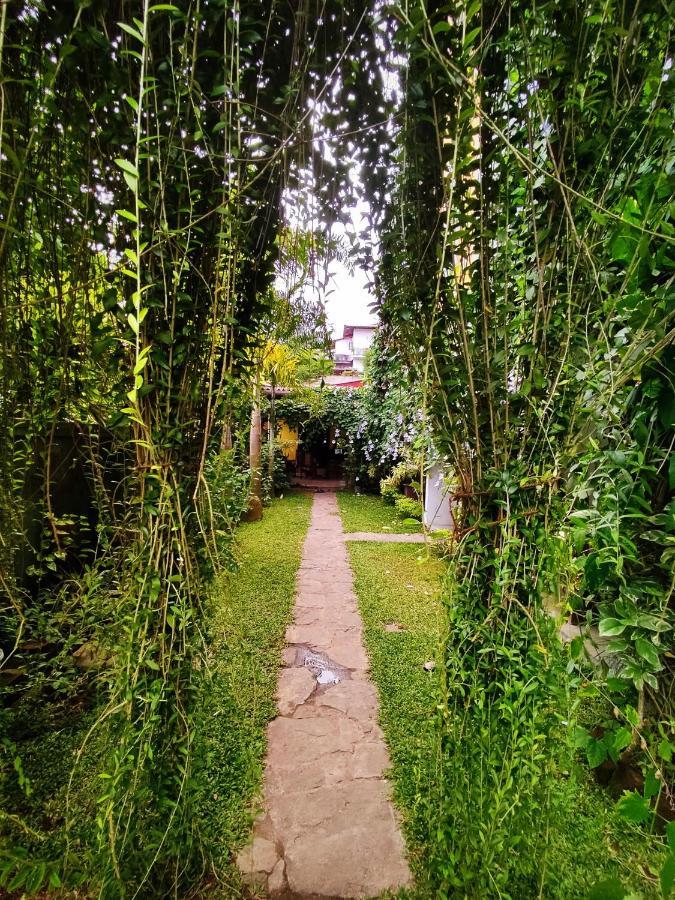 Bed and Breakfast Mandara Rest Hikkaduwa Exterior foto