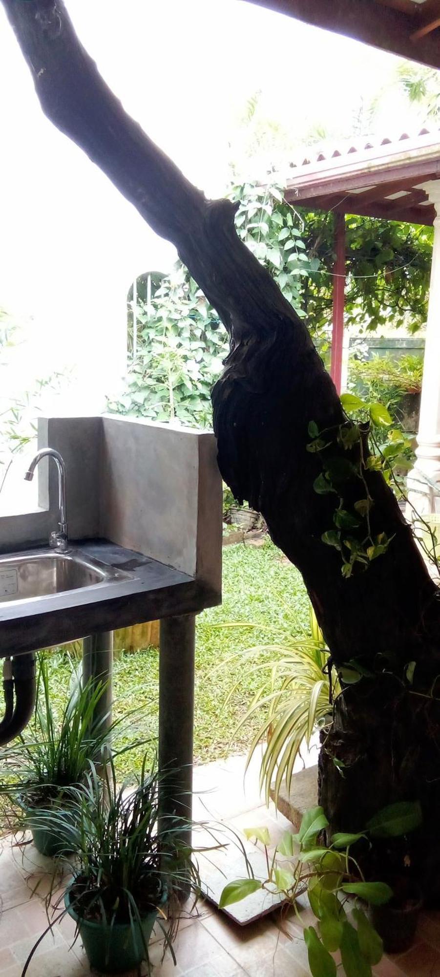 Bed and Breakfast Mandara Rest Hikkaduwa Zimmer foto
